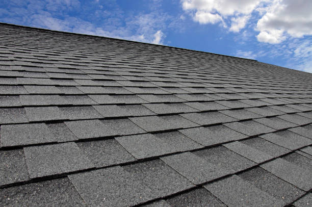 Skylights in Amboy, WA